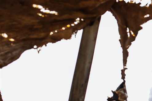 Foto di Denniz Futalan da Pexels